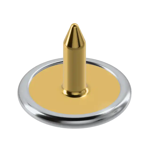  Brass Cap Nail